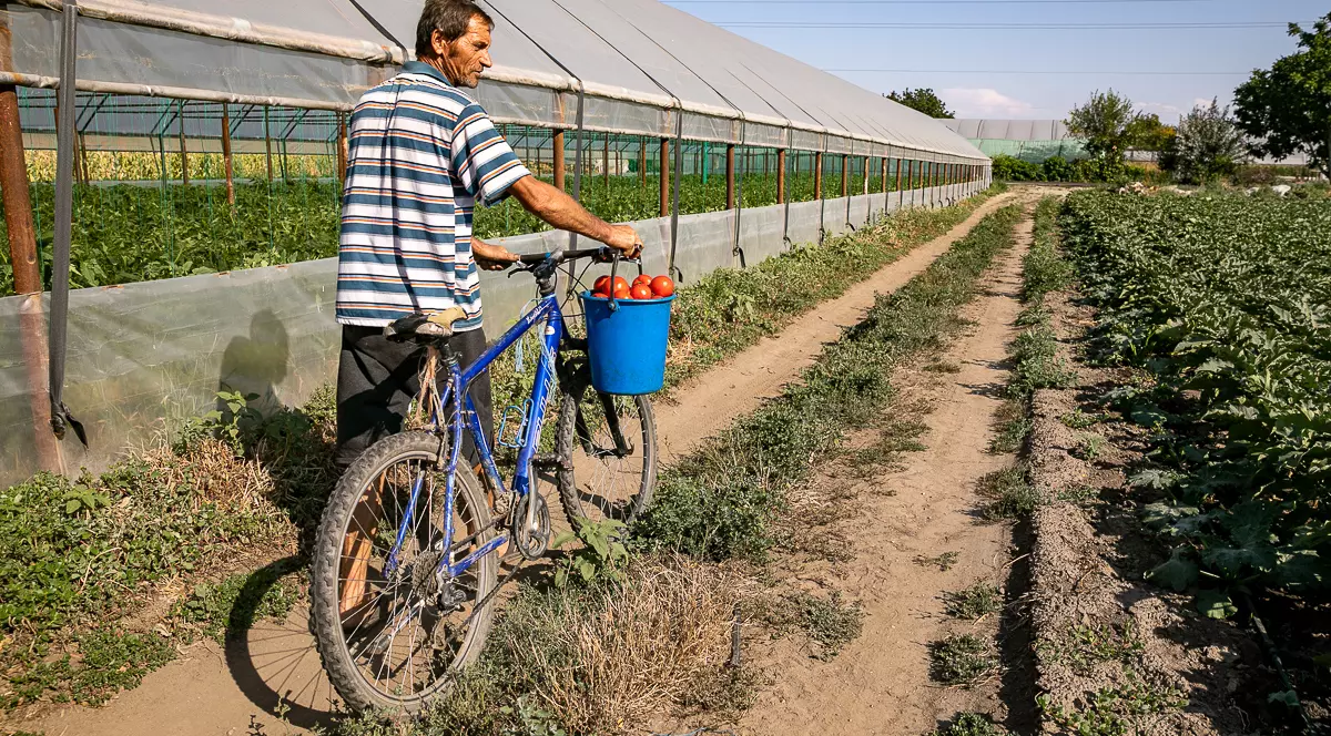 Satul din Giurgiu de unde românii nu pleacă la muncă afară! Cum a ratat ministrul muncii german întâlnirea sa de la Câmpurelu