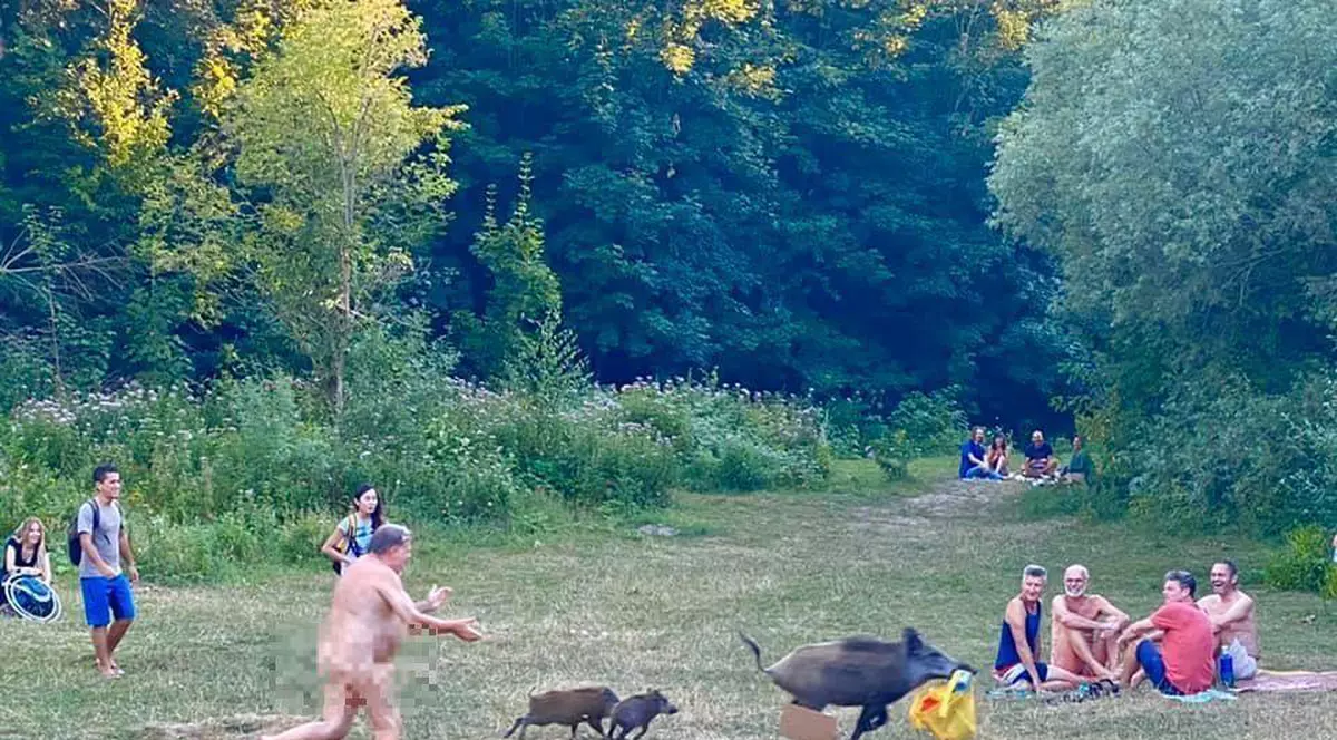 Mistrețul alergat de un nudist pentru că i-a furat laptopul este amenințat cu eutanasierea. Decizia autorităților, întâmpinată cu proteste