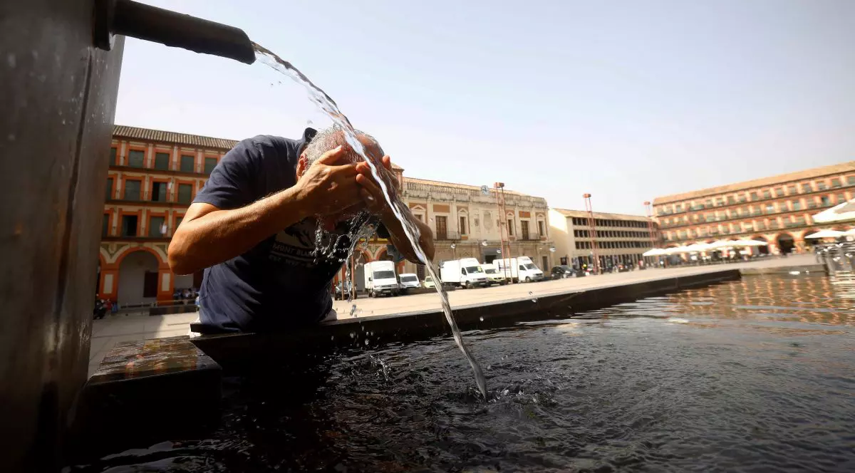 Creșterea temperaturilor pe planetă va ucide mai mulți oameni decât toate bolile infecțioase la un loc