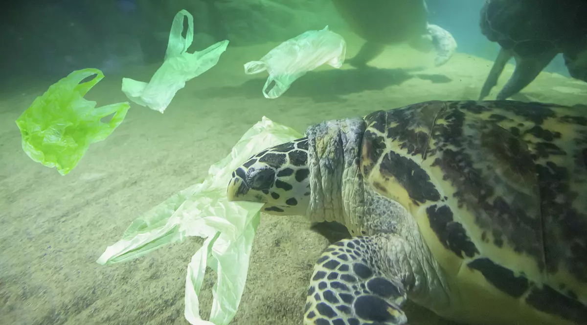 Trei sferturi din deşeurile de plastic din oceane, reprezentat de 10 produse