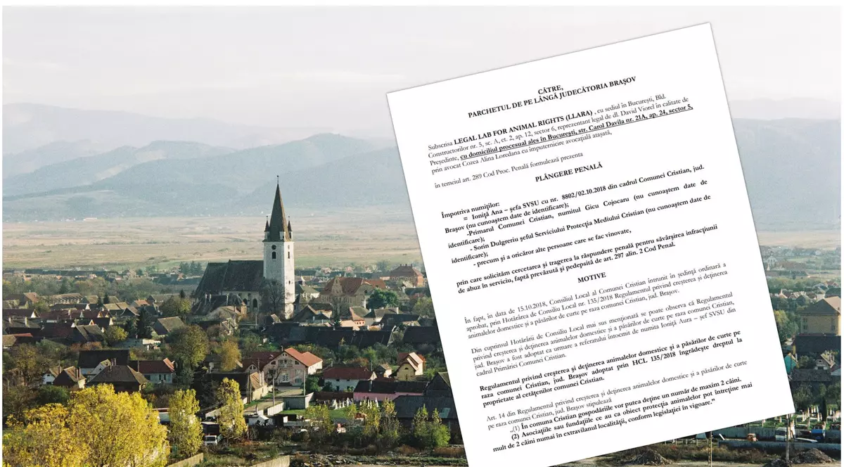 Plângere penală împotriva primăriei care a limitat numărul de câini la doi de familie. "S-a săvârșit infracțiunea de abuz în serviciu"