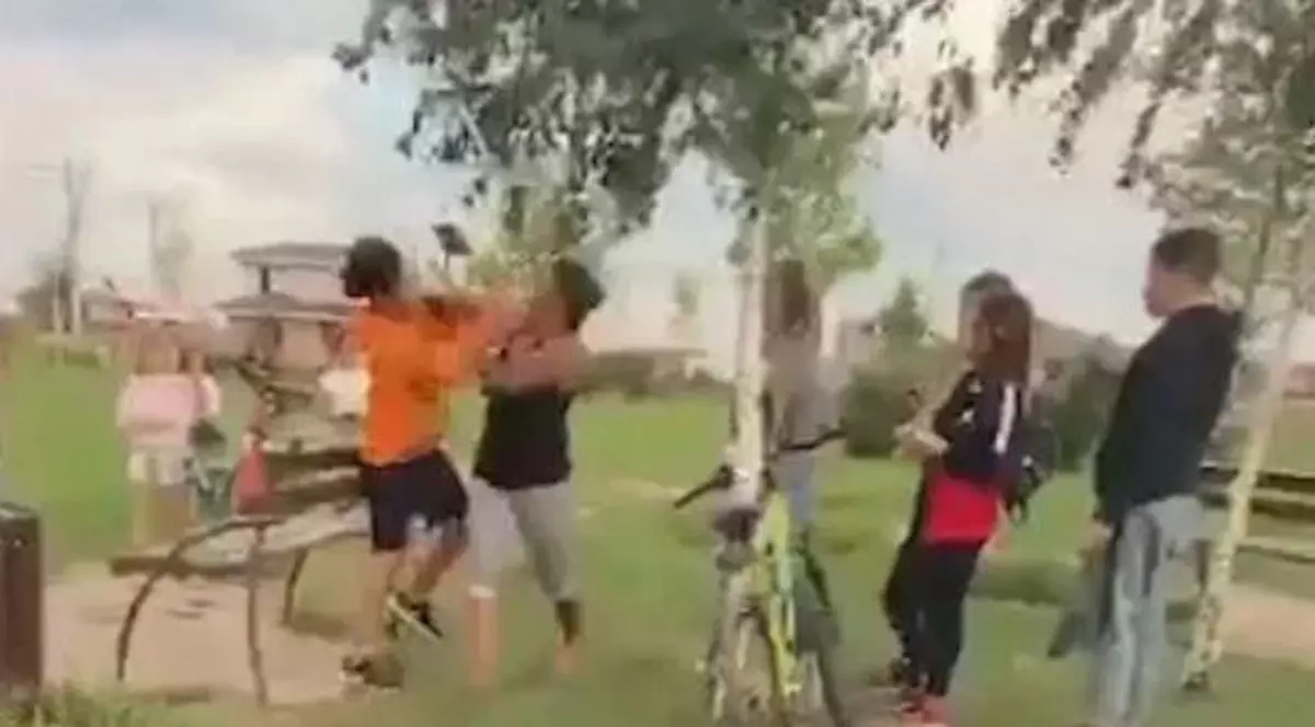 VIDEO | Caz scandalos în Timiș. Un copil a fost bătut de părinții unei fete, care ar fi fost lovită cu mingea de acesta