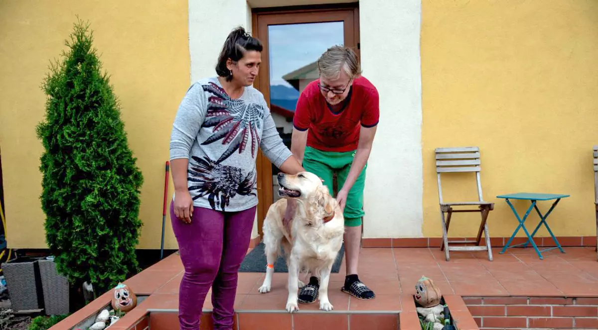 Într-o localitate din România ai voie să deții maximum 2 câini! Notificarea primită de familia căreia i-au fost otrăviți doi câini cu furadan!