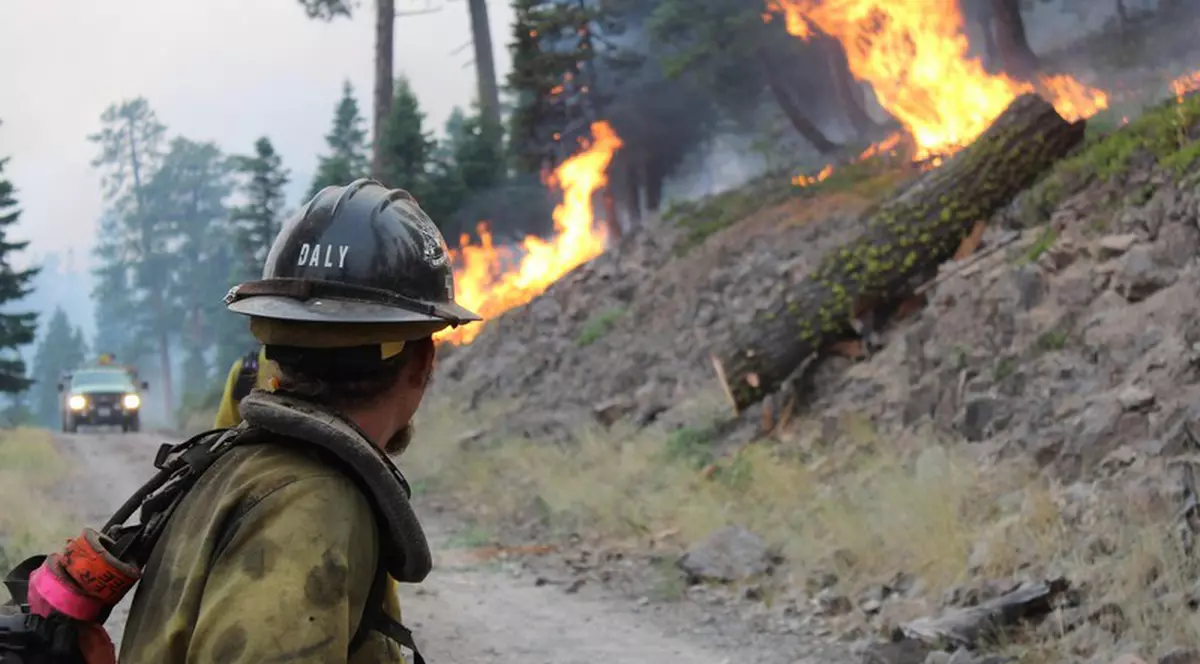 Un băiat a fost găsit mort, într-o mașină, cu câinele în brațe, după ce a încercat să scape de incendiile din Oregon