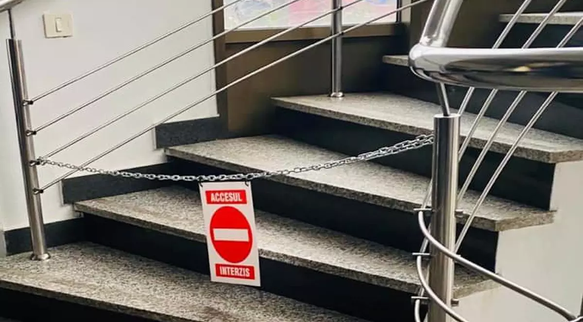 Foto: Facebook Violeta Alexandru