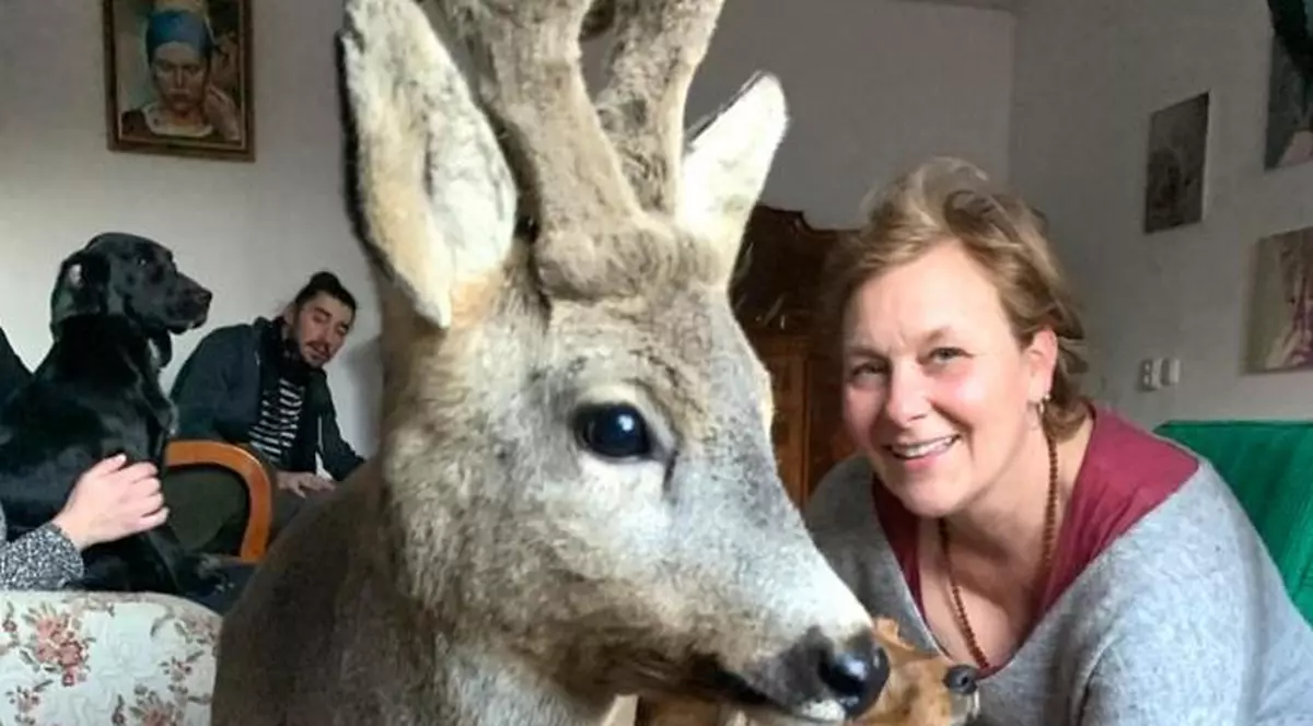 Interviu cu jurnalista care a relatat despre jaful din pădurile României pentru televiziunea ARTE. Răspuns- șoc primit de la ministrul mediului întrebat unde dispare lemnul