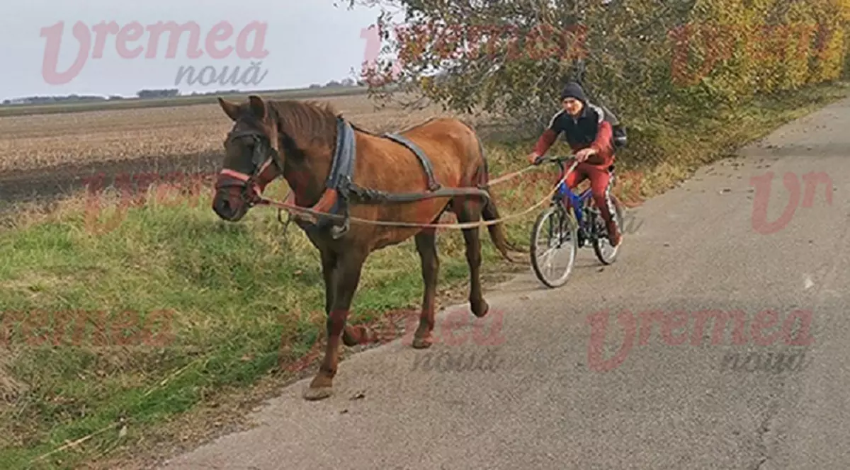 VIDEO | O nouă invenție în materie de transport. Un vasluian se plimbă pe străzi cu o bicicletă trasă de un cal