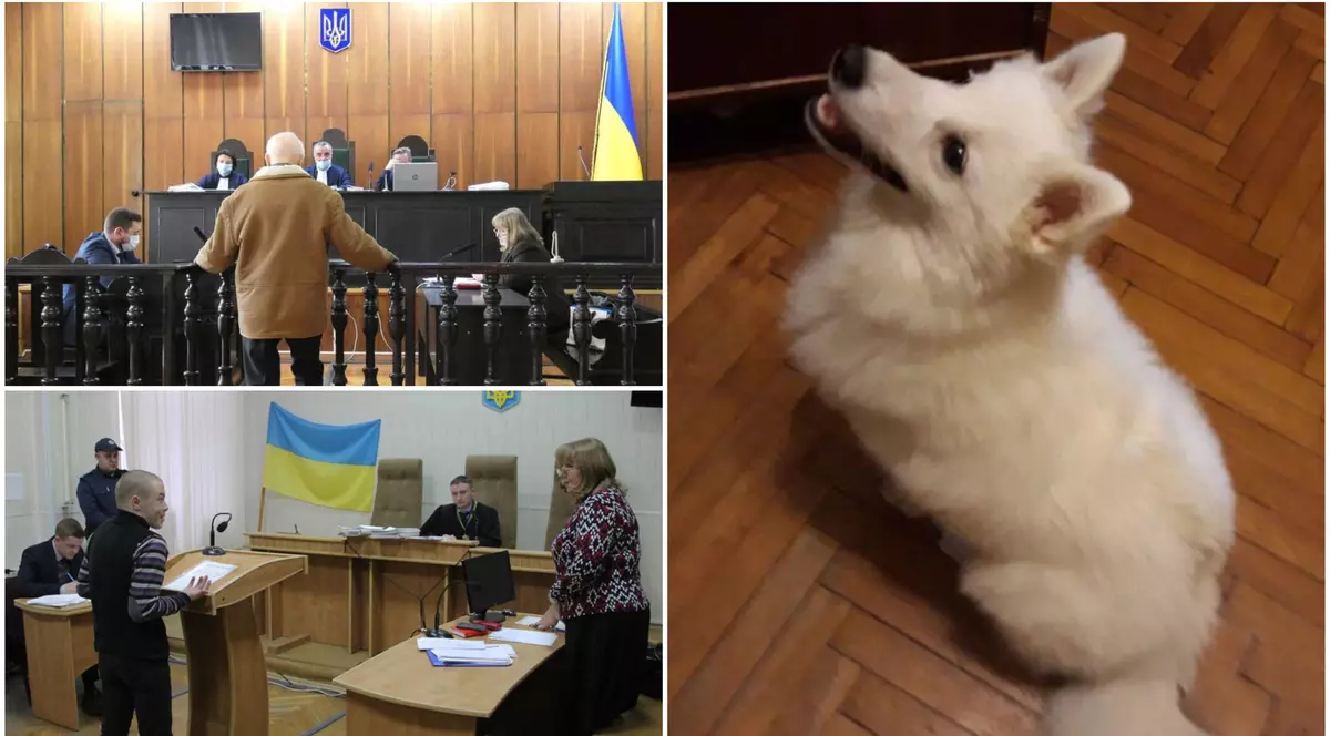 Ani grei de închisoare pentru un tânăr care a ucis câinele unui bătrân