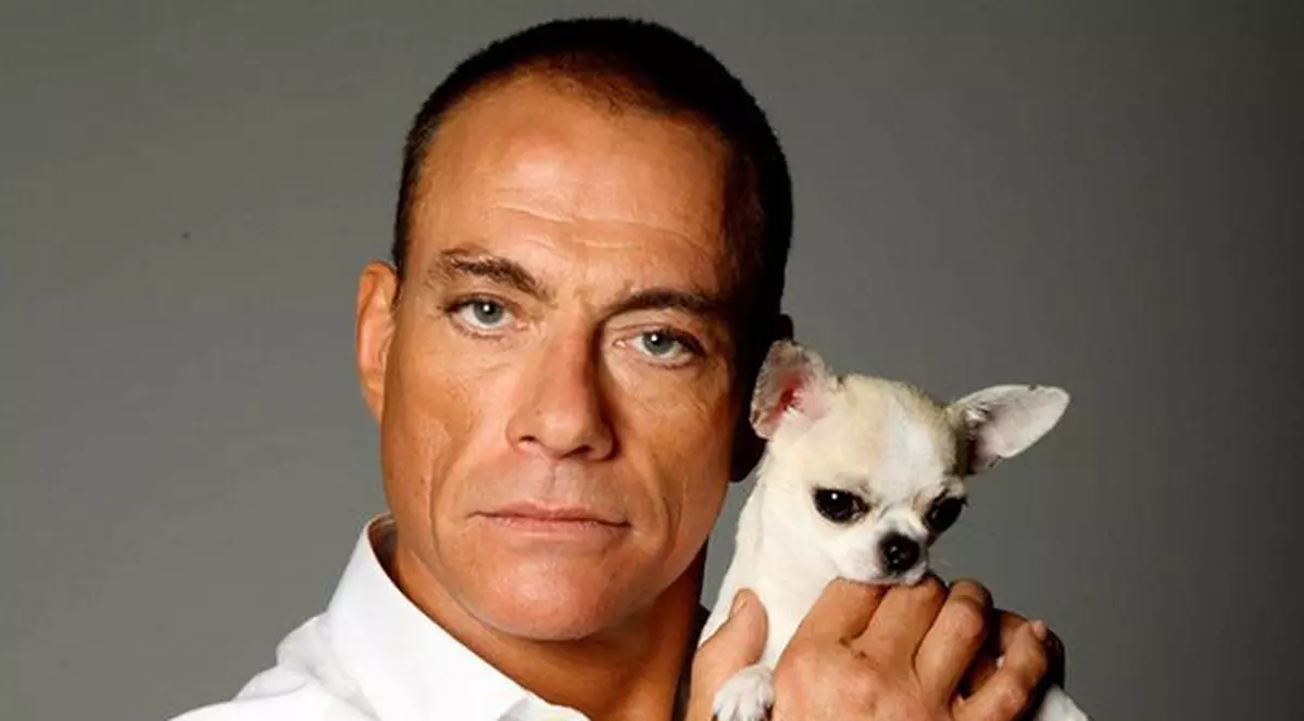 Jean-Claude Van Damme a salvat de la moarte o căţeluşă Chihuahua fără documente legale