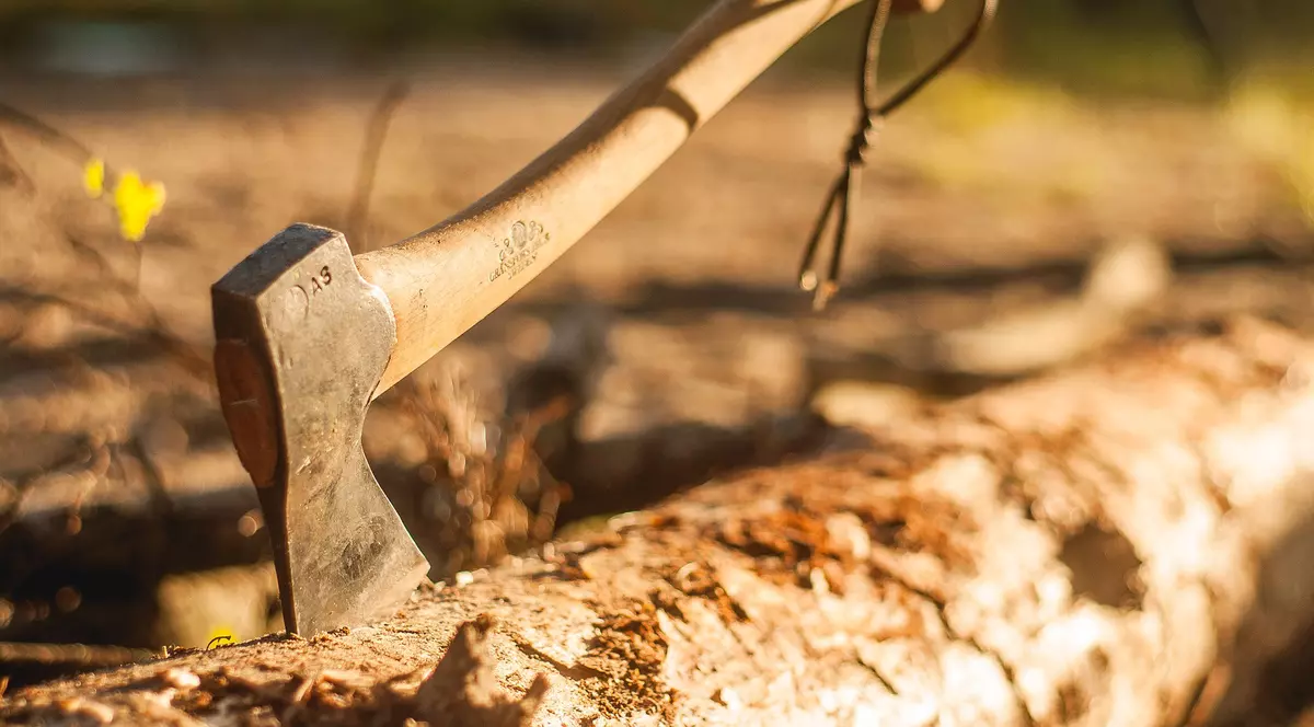 Un bărbat de 24 de ani din Brașov, arestat după ce a lovit de mai multe ori cu toporul o fetiță de 10 ani
