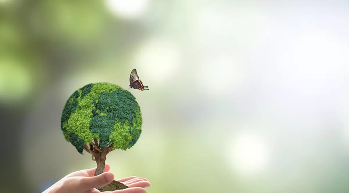 Fotosinteza - ce este și cum funcționează procesul care furnizează o mare parte din energia esențială pentru viața pe Pământ