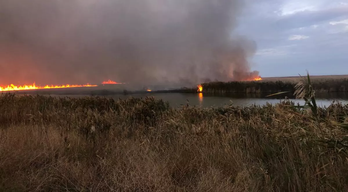 VIDEO | Incendiu de proporții în Delta Dunării. Au ars 700 de hectare de vegetație din zona protejată