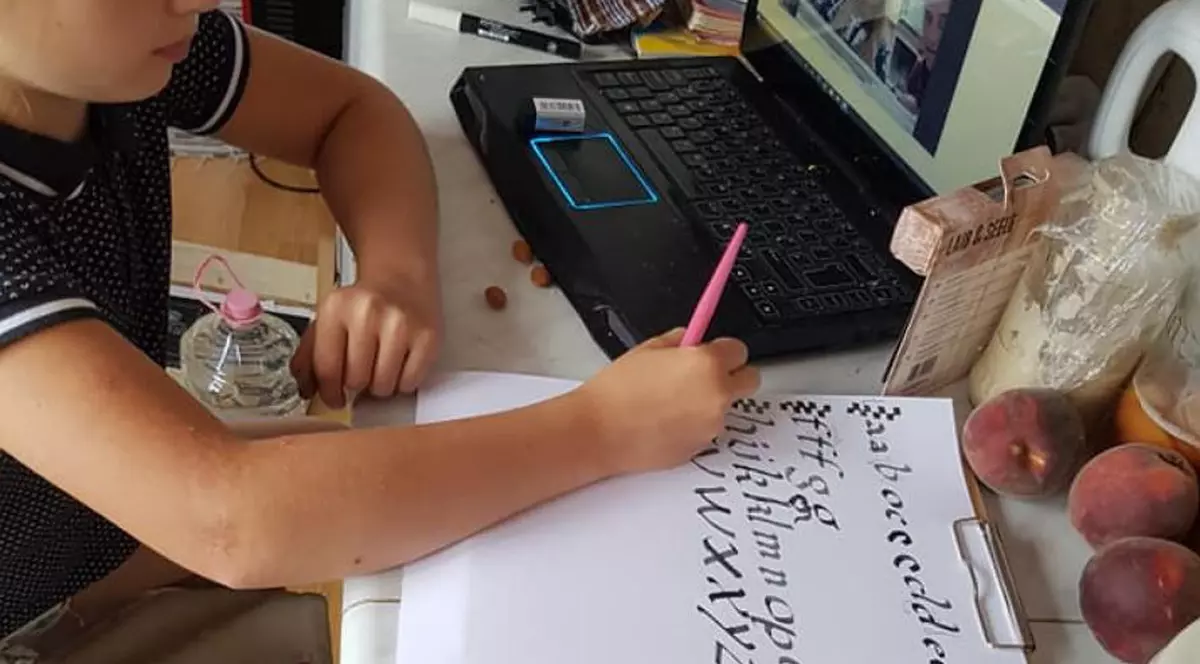 Cei care nu cedează! Cum arată o tabără online organizată la Lupeni în plină pandemie. ”Ne-am transformat camerele în mici laboratoare”