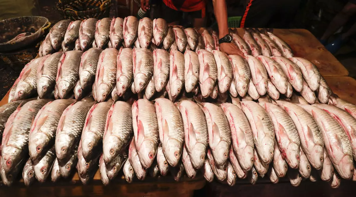 Urme de coronavirus, detectate pe ambalajul peștelui și fructelor de mare ajunse din Rusia în China. Beijingul a oprit importurile