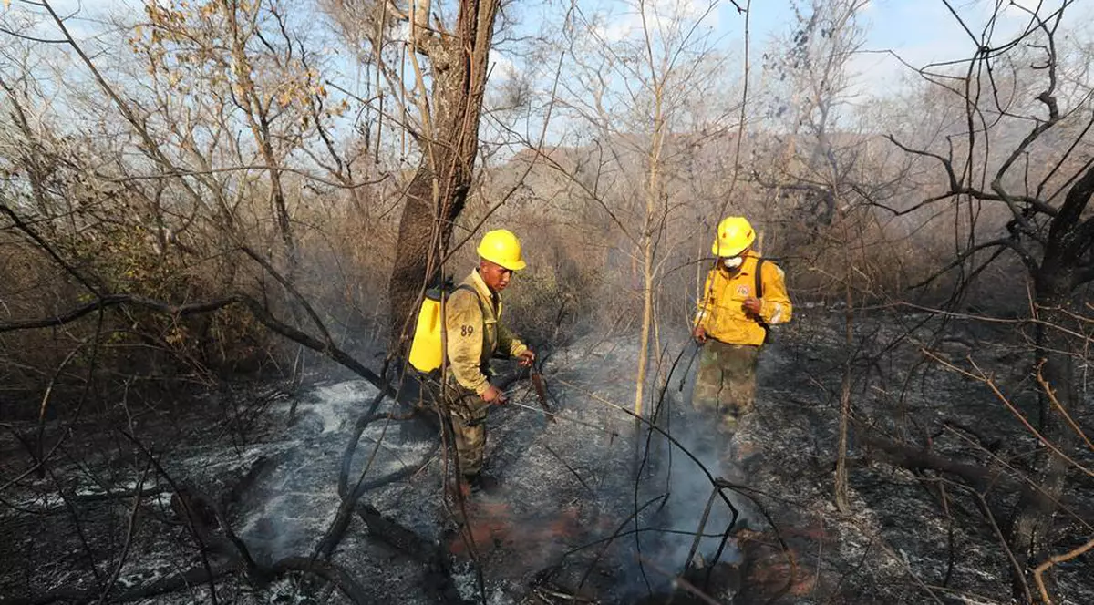 Bolivia decretează starea de catastrofă națională din cauza incendiilor și a secetei