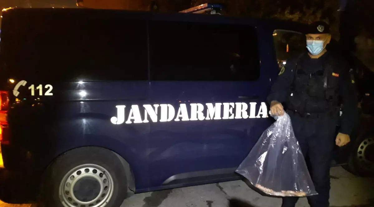 VIDEO | Un șarpe exotic din America de Nord, prins de jandarmi într-o scară de bloc din Timișoara