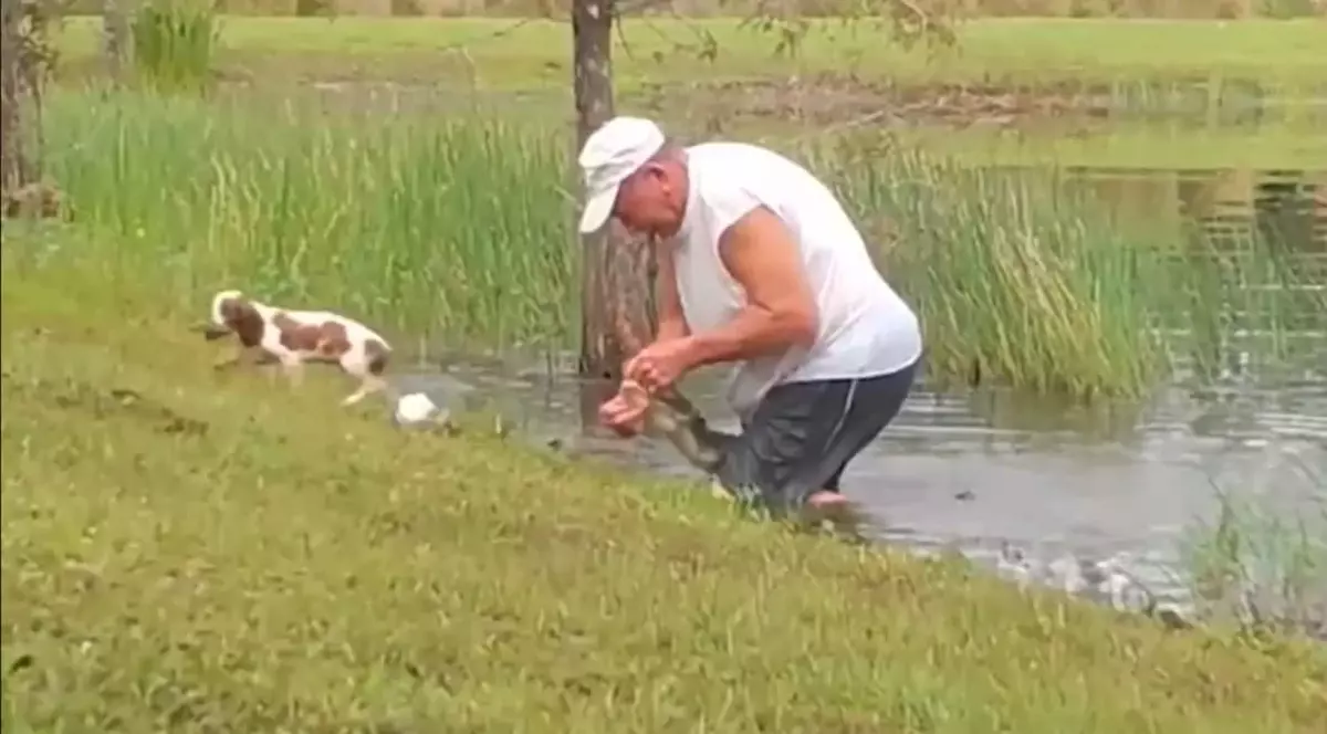 VIDEO | Un bărbat din Florida a reușit să își salveze cățelul din gura unui aligator