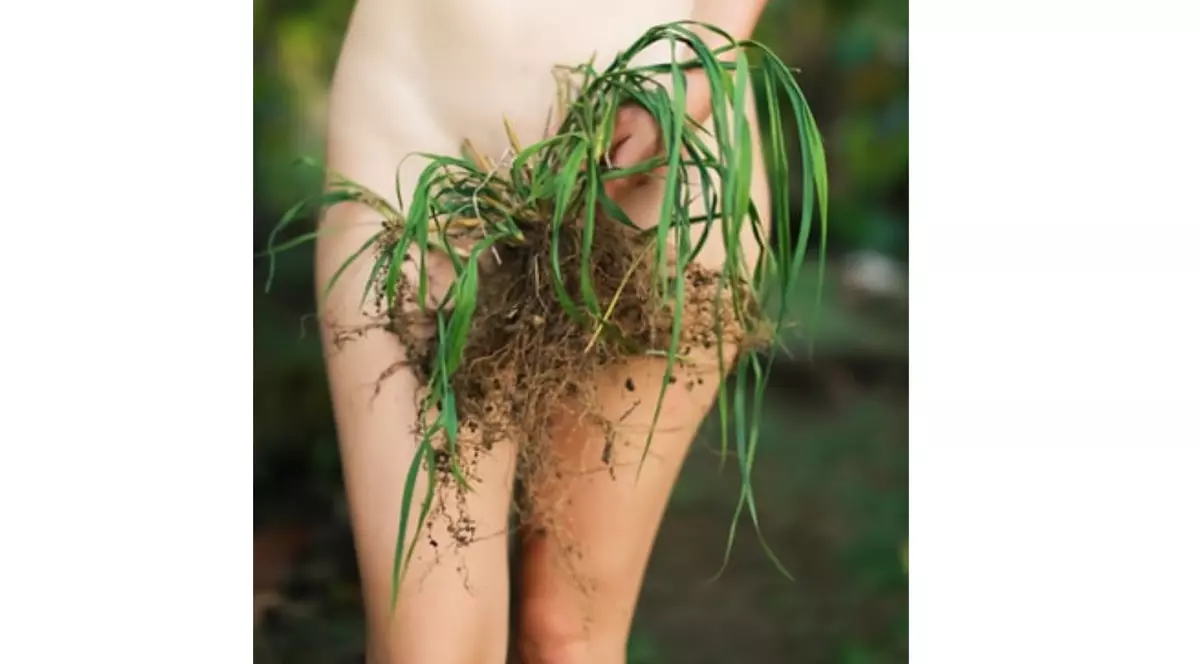 (Publicitate) Epilarea definitivă, mai accesibilă ca oricând!