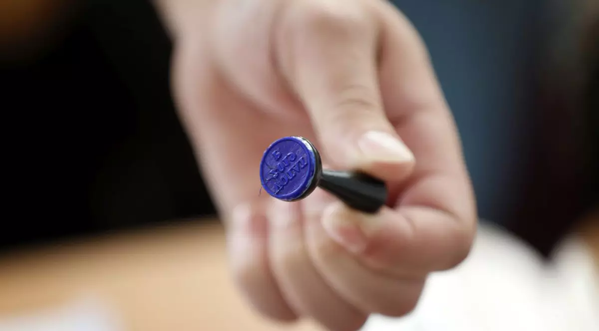 Votul în diaspora pentru alegerile parlamentare începe astăzi, la ora României 20:00