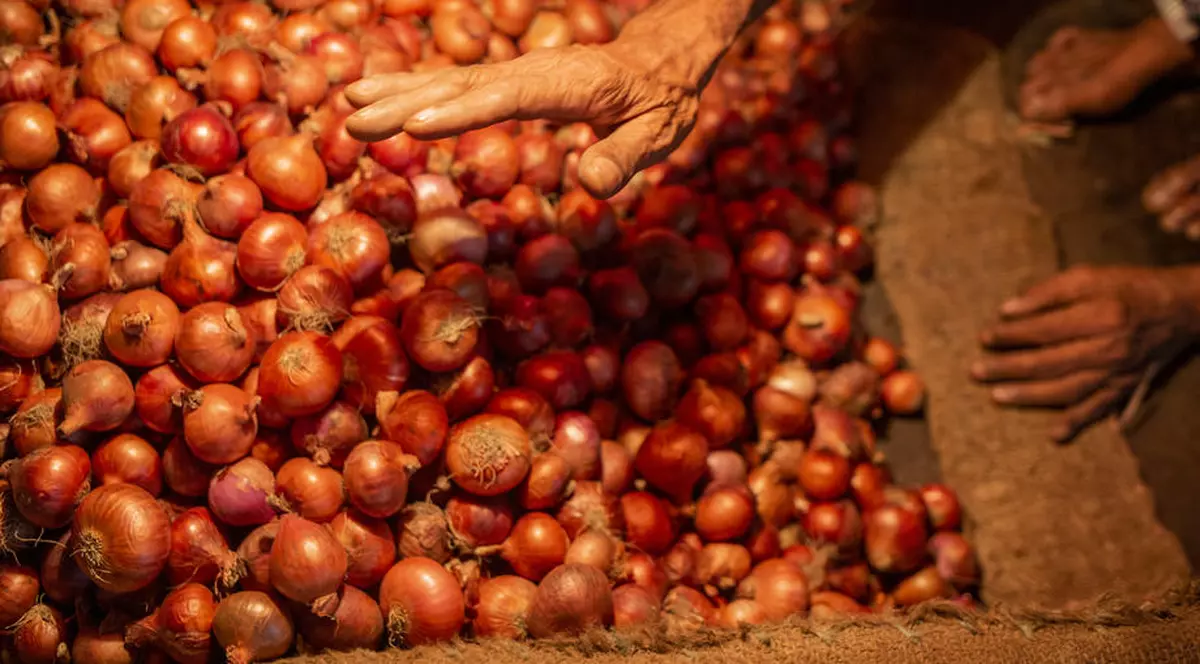 Un român din Austria a cumpărat 520 de tone de ceapă și cartofi fără să plătească. Țeapă de 79.000 de euro