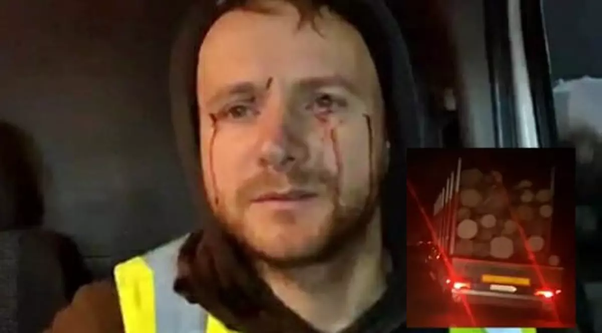 Sindicatul Europol, mesaj către ministrul Vela: "Nu știți că hoții de lemne acționează nestingheriți, știind că nu îi deranjează nimeni?"