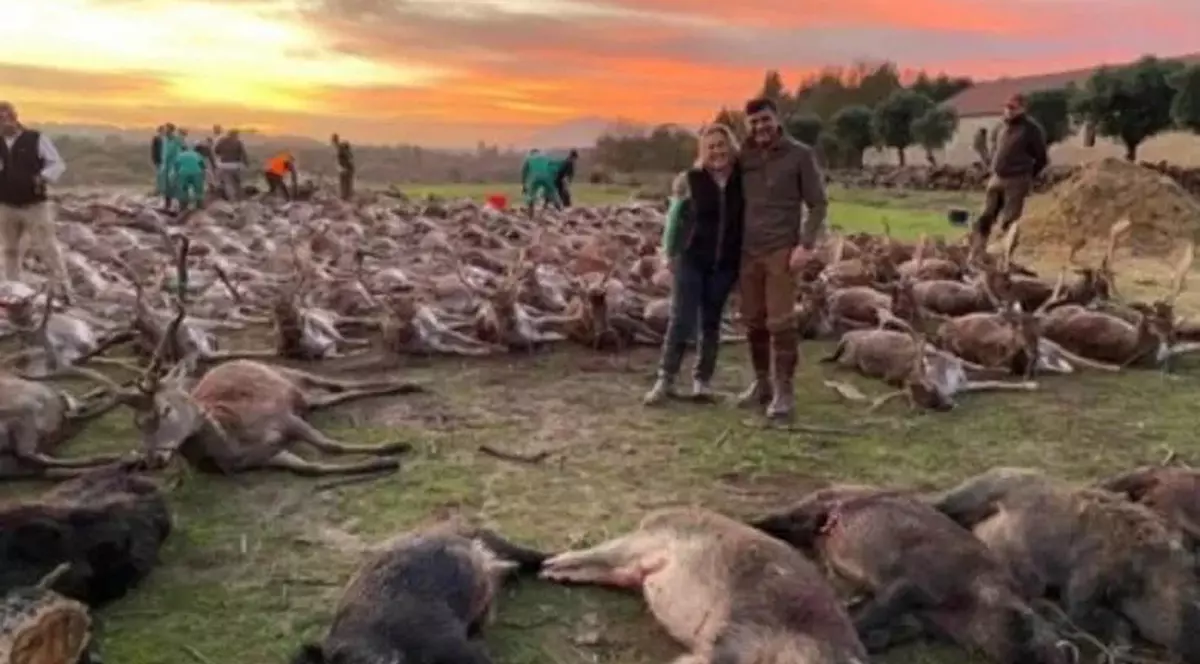 Indignare în Portugalia, după ce 540 de animale, căprioare şi mistreţi, au fost împușcate la o vânătoare privată