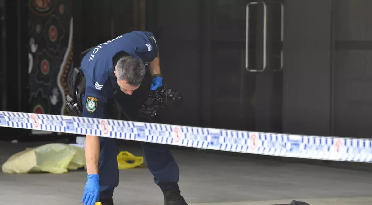 MAE, detalii despre starea celor doi români înjunghiați în atacul rasist din Franța