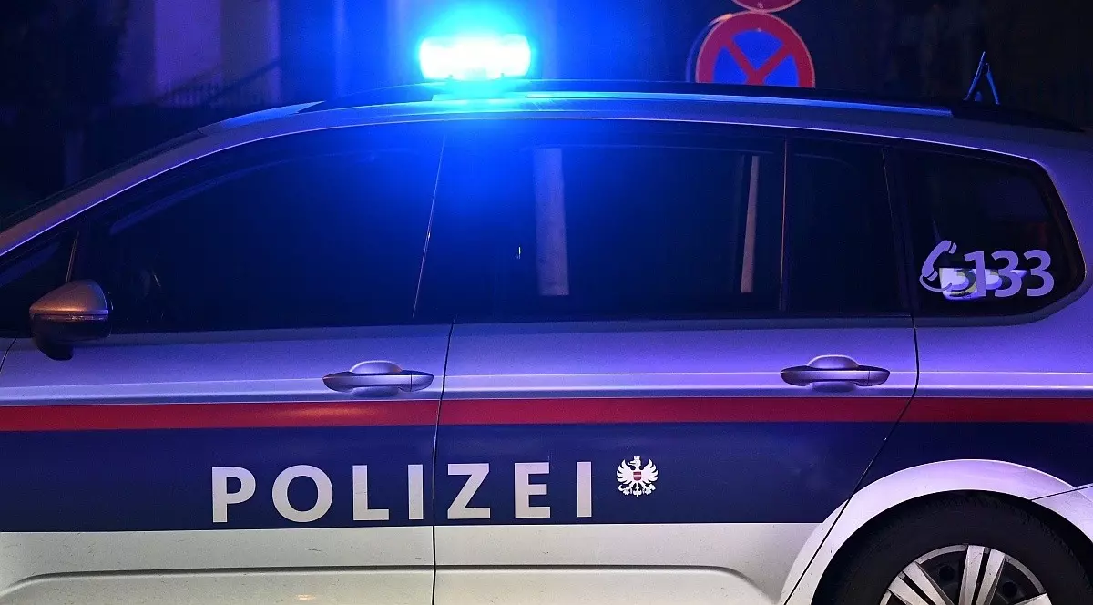 O îngrijitoare din România, prinsă în Austria cu zeci de bijuterii furate ascunse într-un sac de gunoi