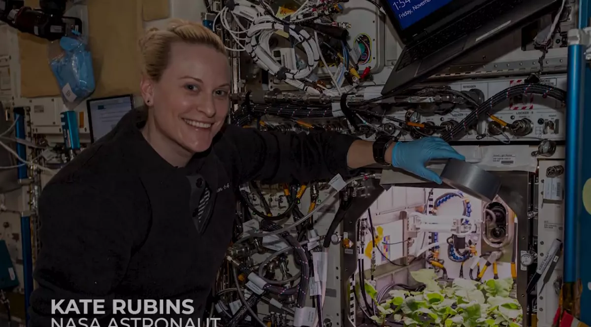 VIDEO | Prima recoltă de ridichi din spațiu, crescută de un astronaut NASA