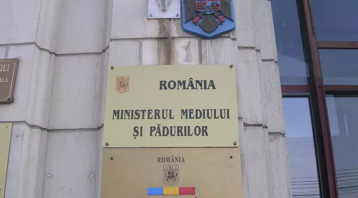 Fiică de primar ajunsă şefă într-un minister şi rugată să spună ce o recomandă pentru post: „Acum ce mă întrebaţi din astea!?”