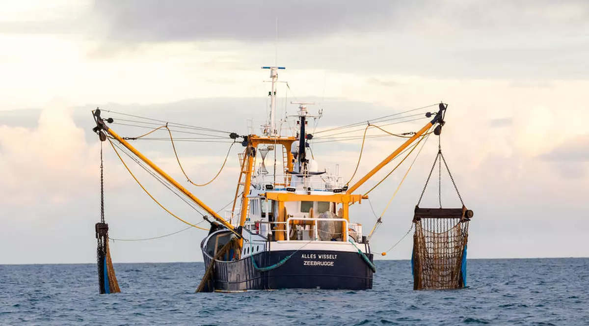 UE renunţă la 25% din cota sa de pescuit în apele britanice