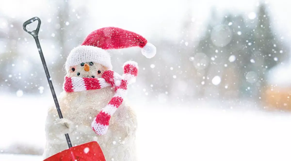 vacanta de iarna 2020-2021 - cand incepe - om de zapada