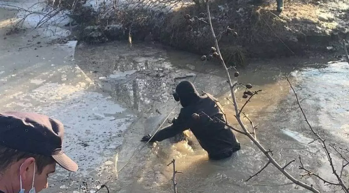 Ciobanul din Olt dat dispărut de polițiști, după ce i s-a înecat o turmă de oi într-un pârâu, a fost găsit: plecase să-și caute un loc de muncă