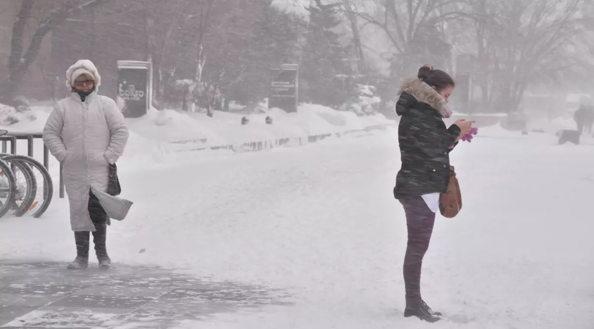 Ninsori, vânt și polei în întreaga țară, până miercuri la prânz