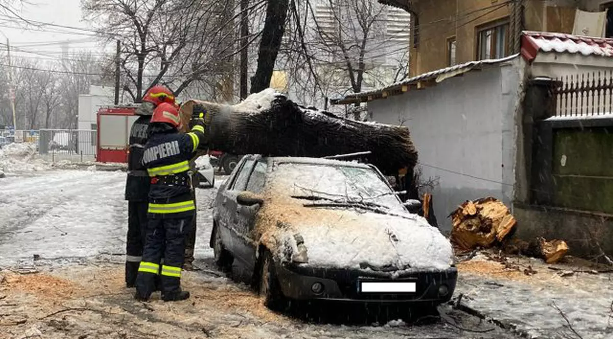 Haos în București, după prima ninsoare din an: mașini avariate, un stâlp de electricitate căzut și copaci prăbușiți