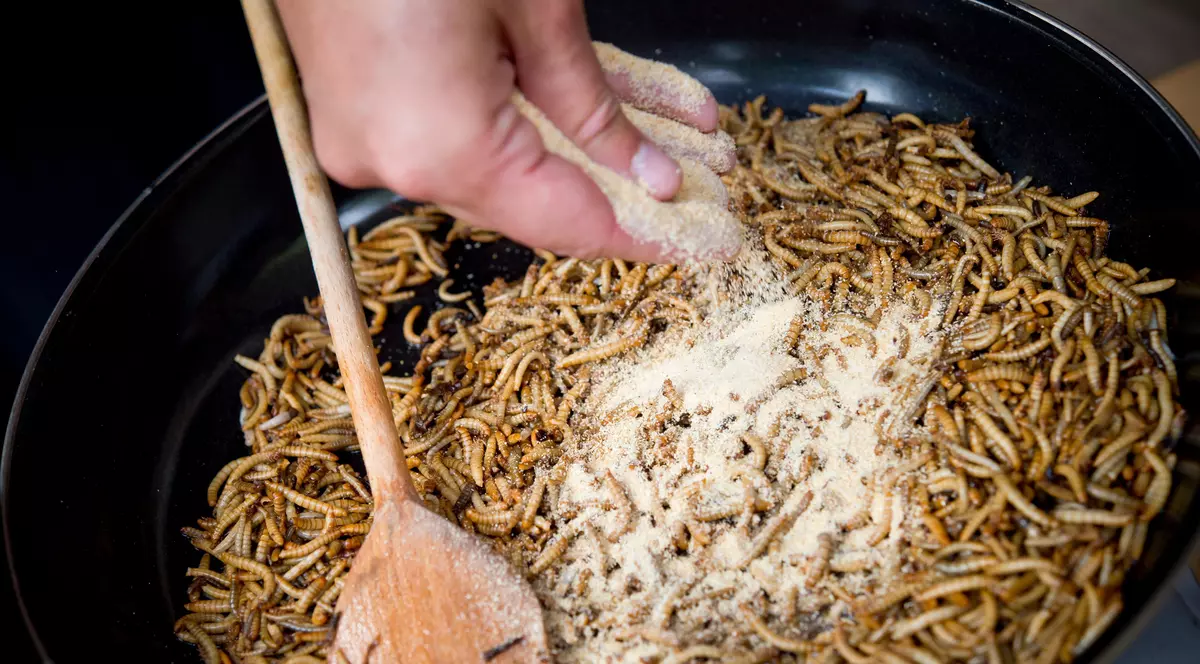 Viermele de făină, declarat fără risc pentru consumul uman în UE