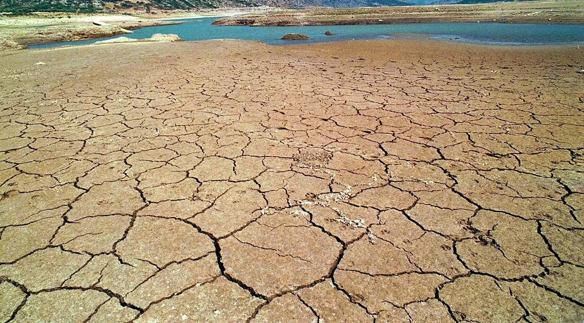 Studiu: Un miliard de oameni vor fi în pericol de moarte, dacă temperatura globală va crește cu 2 grade Celsius