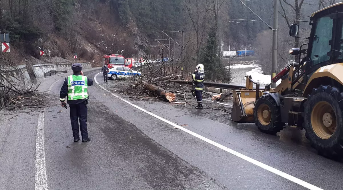 O femeie din București a murit după ce un copac a căzut peste mașina în care circula cu soțul și cei doi copii. Familia era în vacanță