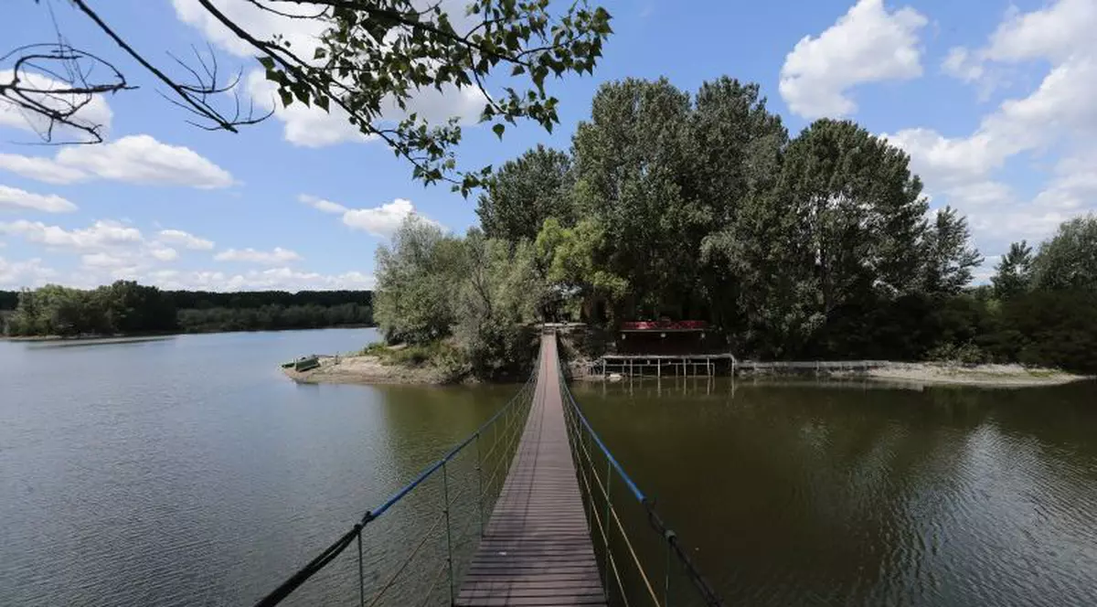 O chelneriță, pusă inginer la Apele Române. Noi dezvăluiri Recorder