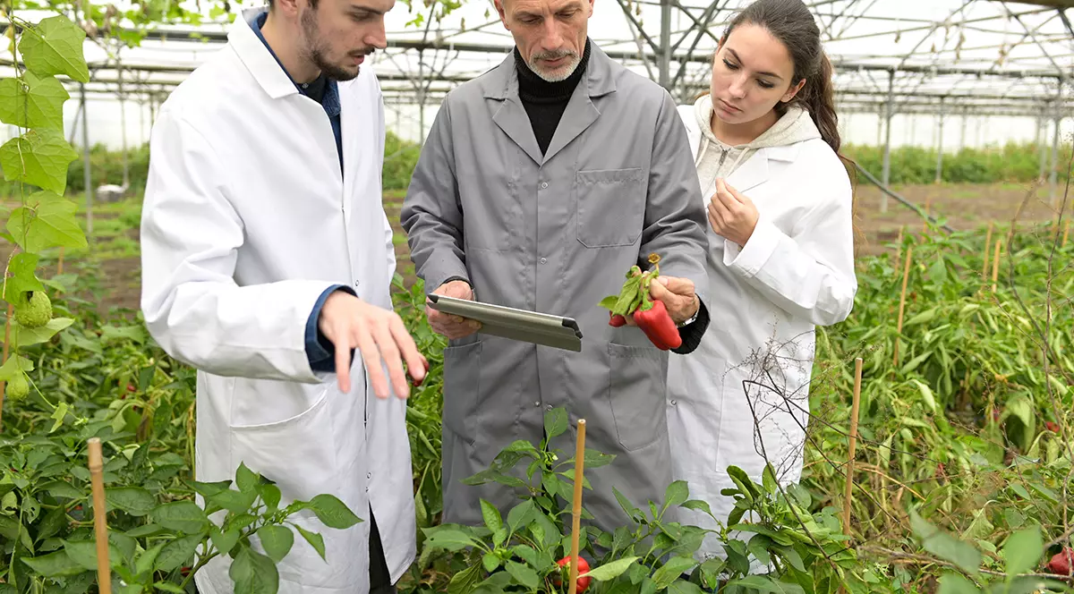 Școala 9: Aproape 97 % dintre fermierii României au doar „școala vieții” în agricultură. „În Olanda, ca să intri la un liceu agricol îți trebuie teren și medie bună”