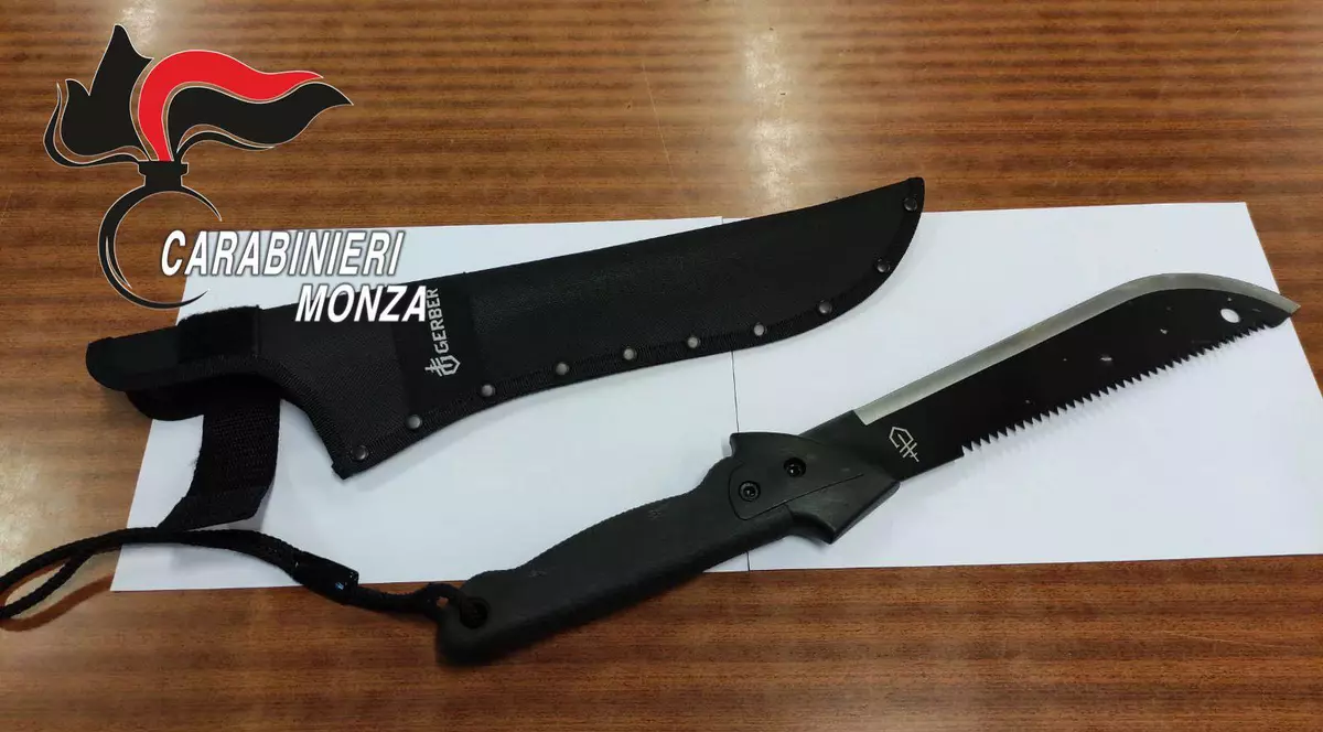 Un român a atacat mai mulți clienți ai unui mall din Italia cu o macetă cu lama de 30 de centimetri și i-a jefuit. Cum l-au prins carabinierii