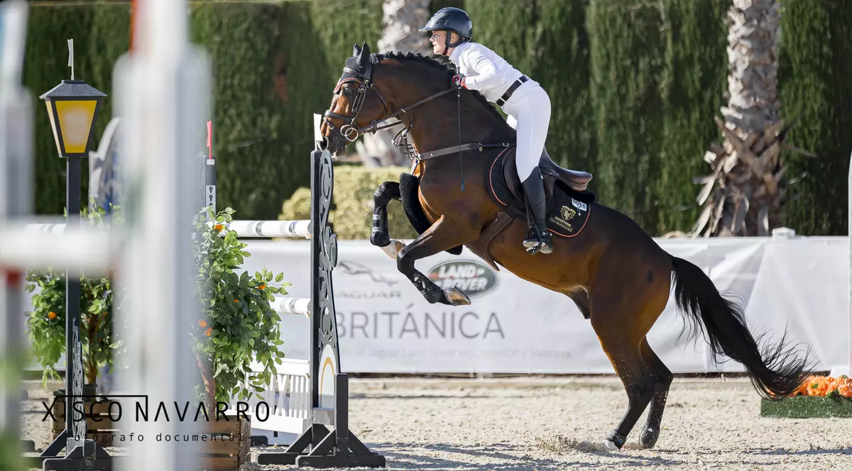 Competițiile ecvestre din Europa au fost întrerupte de federația internațională, după ce un virus mortal a ucis patru cai, iar alte 80 de cabaline prezintă simptome