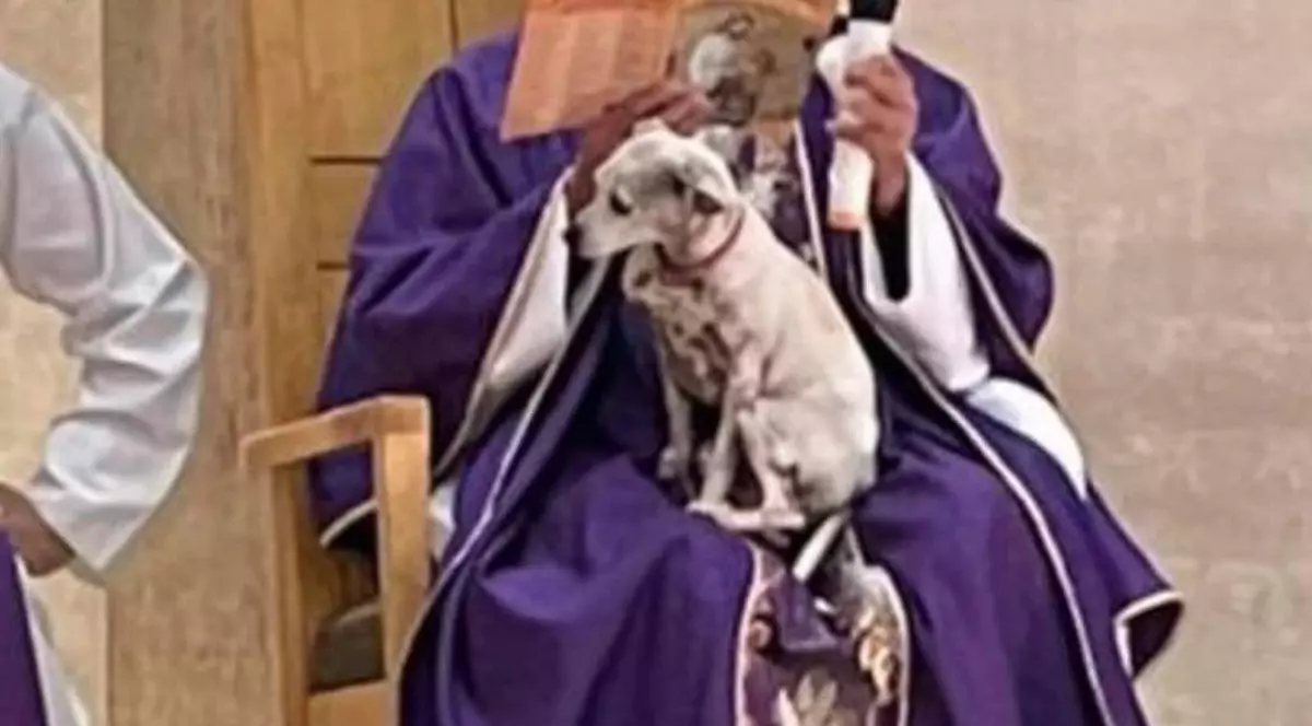 Un preot din Mexic a ţinut o liturghie cu căţelul în braţe: „Dacă îl las acasă, se întristează”