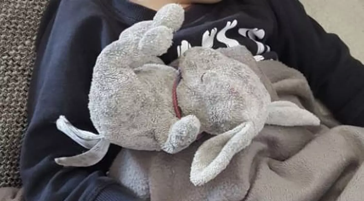 Anunțul unui băiețel de 6 ani care a înduioșat un oraș întreg. Ce oferă copilul la schimbul iepurașului de pluș pe care l-a pierdut