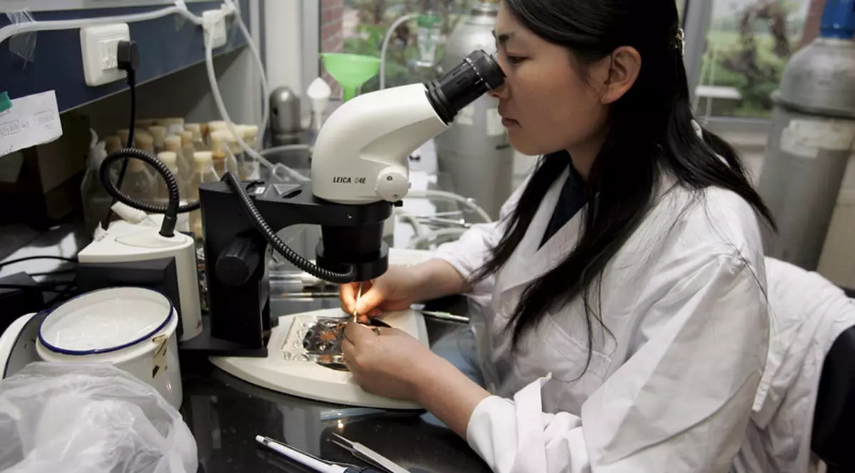 Cercetătorii au obţinut un organism unicelular sintetic, capabil să se autoreproducă. Celulele senzoriale pot fi programate să producă medicamente şi pot fi plasate în organismul uman pentru a le elibera la nevoie
