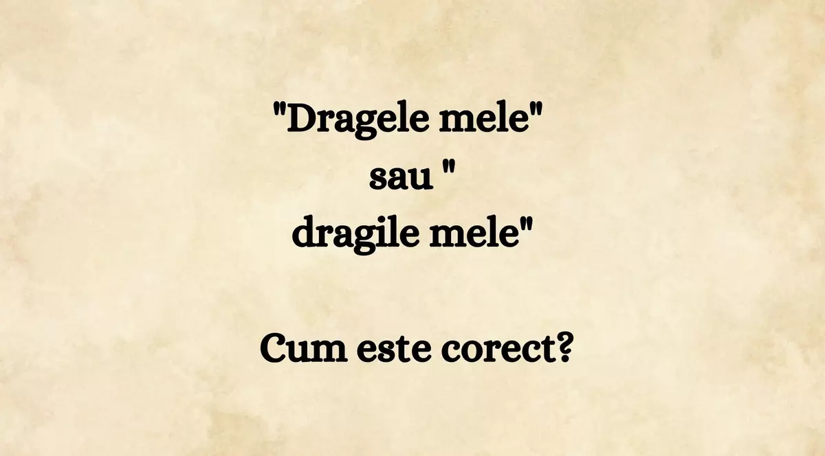 Dragele mele sau dragile mele. Cum este corect