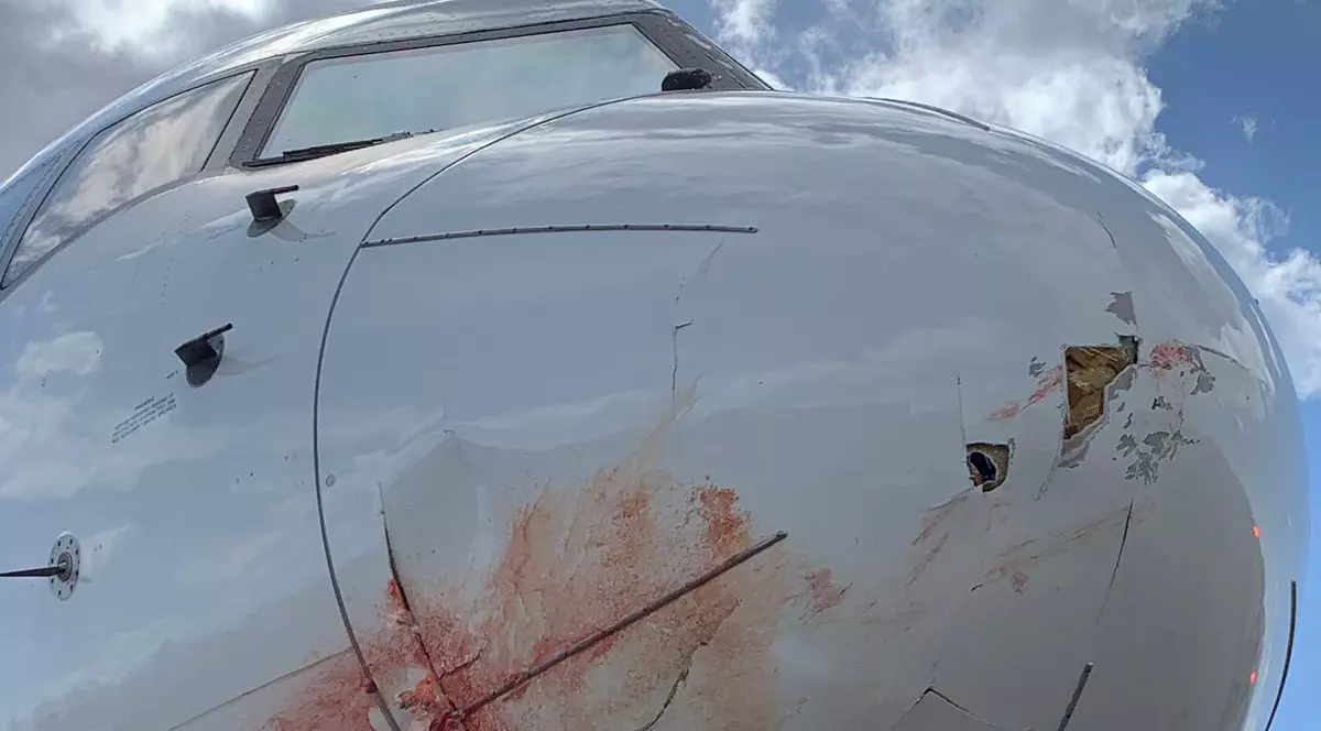 Avionul care transporta echipa de baschet Utah Jazz s-a întors de urgență pe aeroport, după ce a lovit un stol de păsări