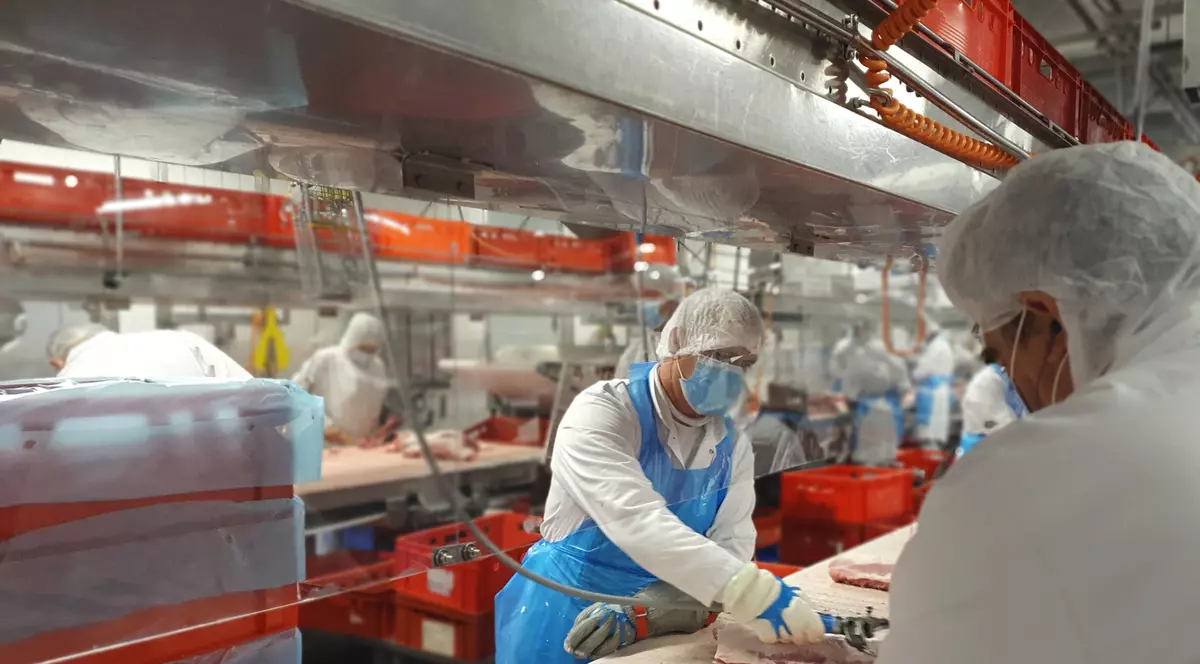 Reforma se lasă așteptată la abatoarele din Germania. Românii care lucrează la Tonnies sunt nemulțumiți de salarii și condițiile de cazare