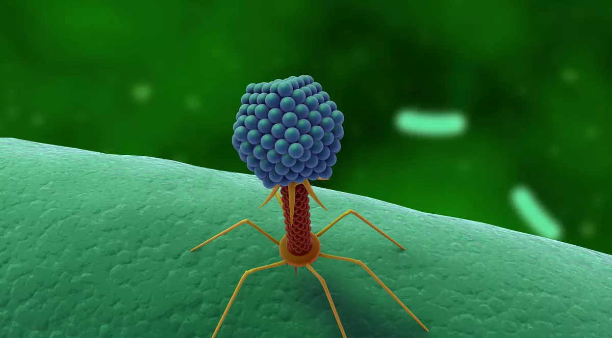 Peste 70.000 de virusuri sunt în microbiomul din intestinul uman. Efectele asupra organismului, necunoscute