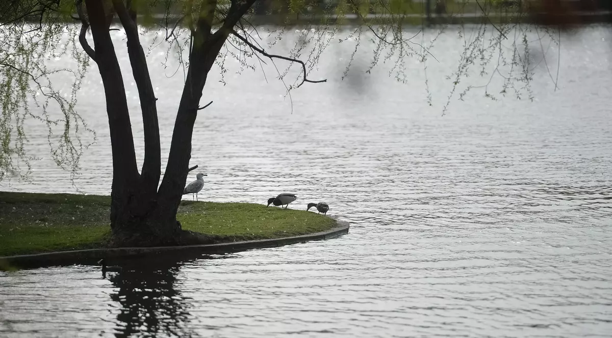Cadavrul unui bărbat, găsit în lacul IOR din București